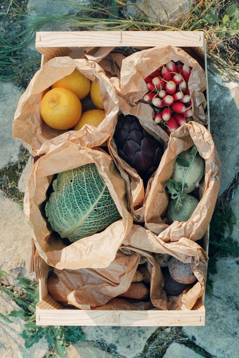 Kist met verse groenten en fruit